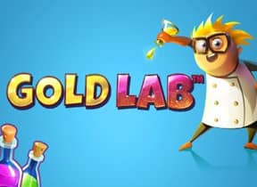 Gold Lab