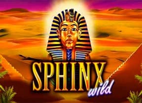 Sphinx Wild